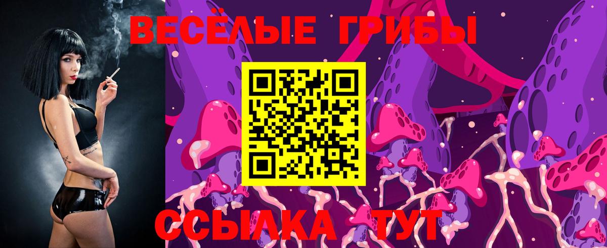 Галлюциногенные грибы GOLDEN TEACHER  Псилоцибиновые грибы Magic Shrooms  Вход с VPN  Саранск 